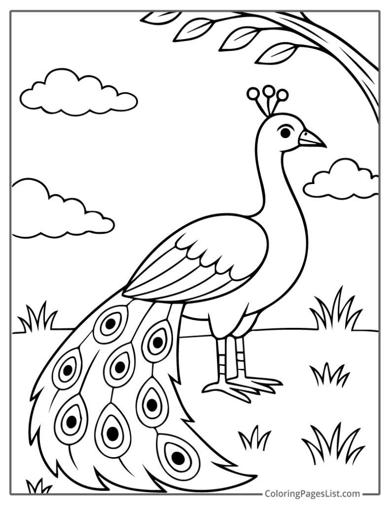 Outline of Peacock Beneath Tree With Puffy Clouds Coloring Sheet For Kids