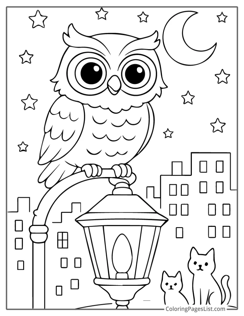 Owl Sitting on a City Lamp Post at Night To Color In