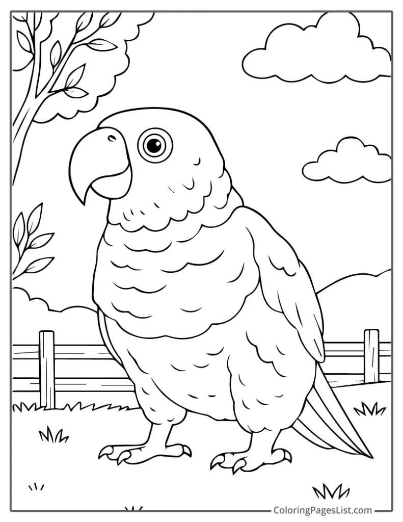 Parrot Standing Near Fence With Cloudy Sky For Coloring