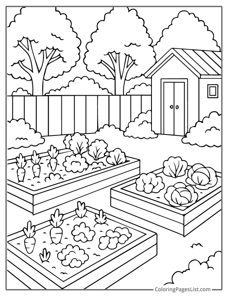 Peaceful Backyard Garden with Raised Beds