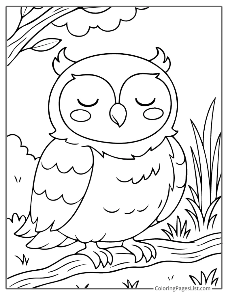 Peaceful Owl with Blush Marks Resting Quietly To Color In