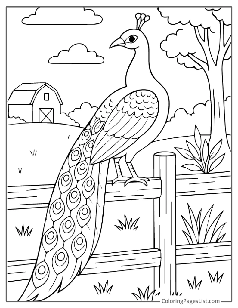 Peacock Perched On Wooden Fence With Farmland For Coloring