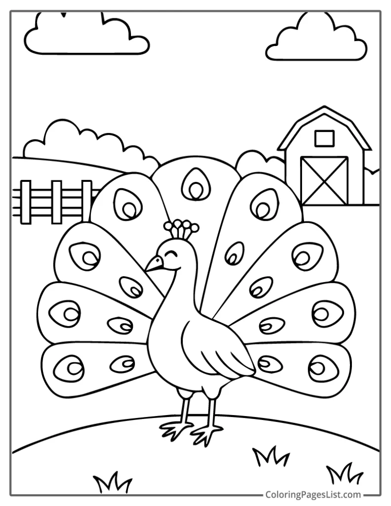 Peacock Spreading Feathers In Farmyard To Color In