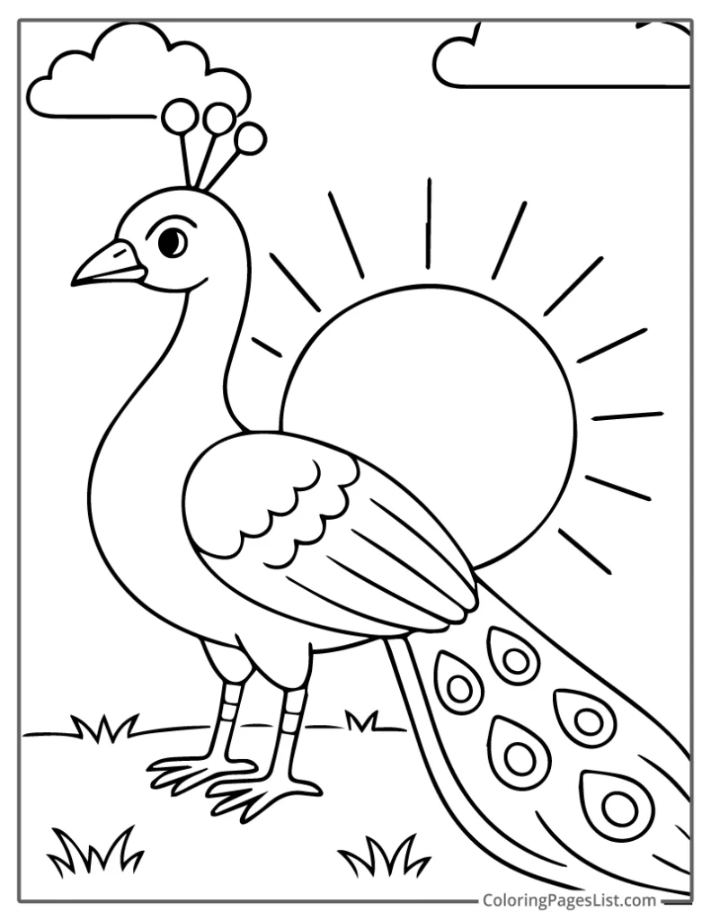 Peacock Standing Tall With Rising Sun Behind To Color In