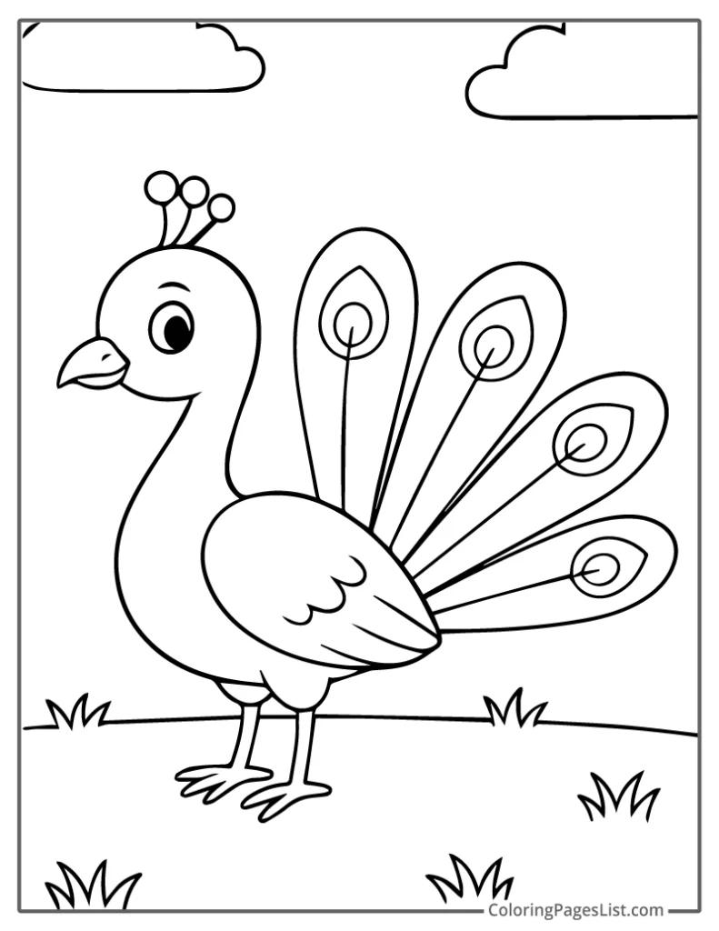 Peacock With Elegant Feathers In Open Meadow Coloring Page