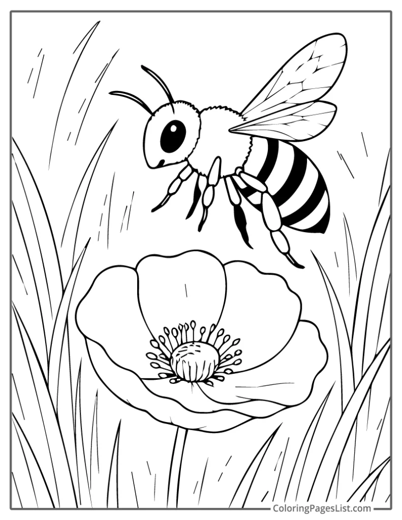 Realistic Bee Hovering Near a Poppy Flower Coloring Page