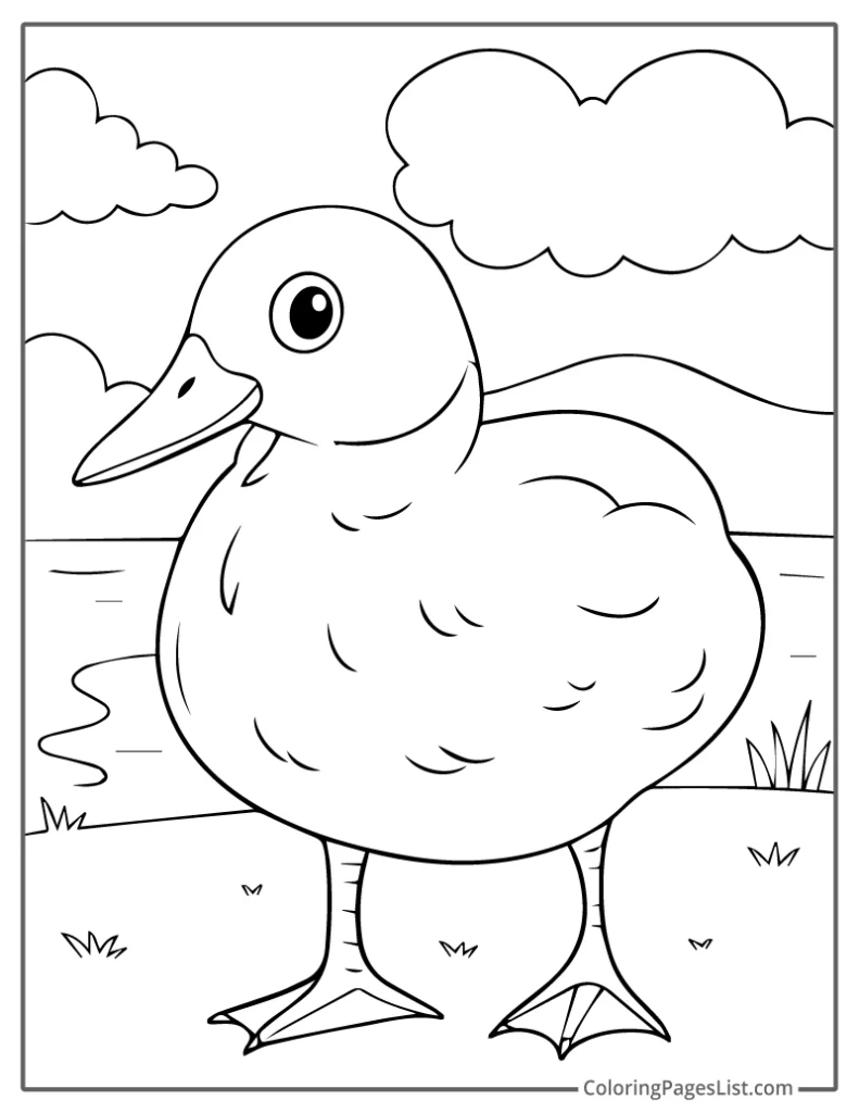 Realistic Duckling Standing On Grass To Color In