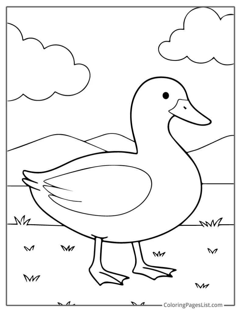 Standing Duck On Grassy Field For Kids To Color