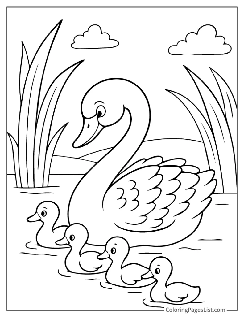 Swan Swimming with Ducklings Coloring Sheet For Kids