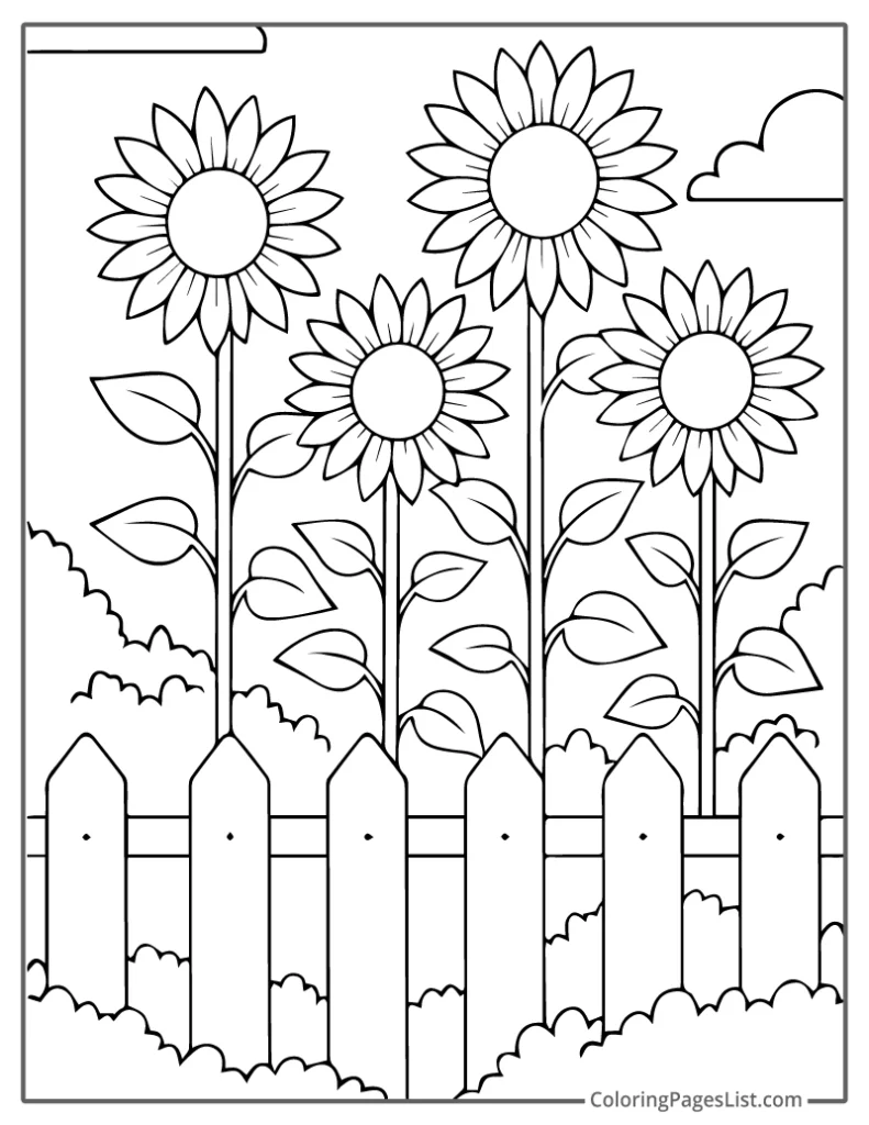 Tall Sunflowers Blooming Along the Garden Fence