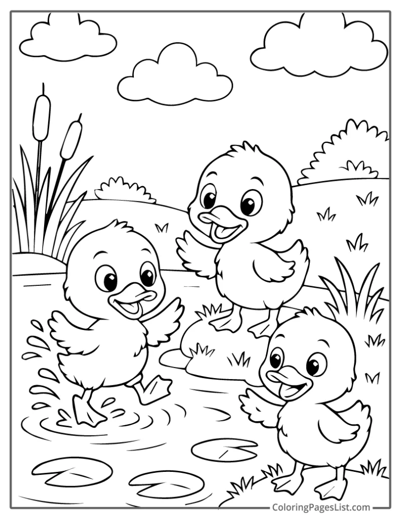Three Ducklings Playing By The Water Coloring Page