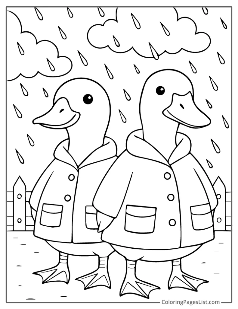 Two Ducks Wearing Raincoats In The Rain Coloring Page