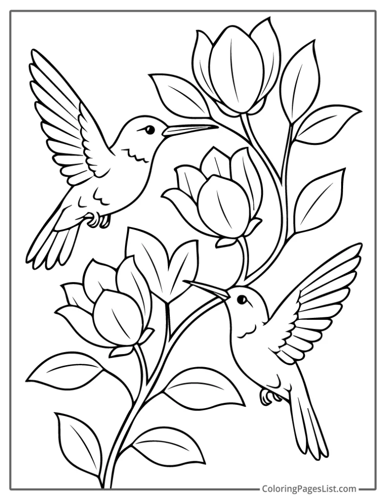 Two Hummingbirds Feeding on Flower Buds To Color In
