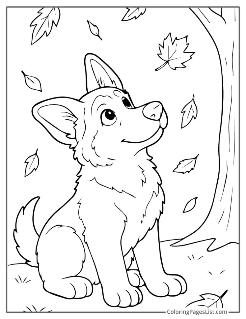 Curious Puppy Watching Autumn Leaves Fall To Color In