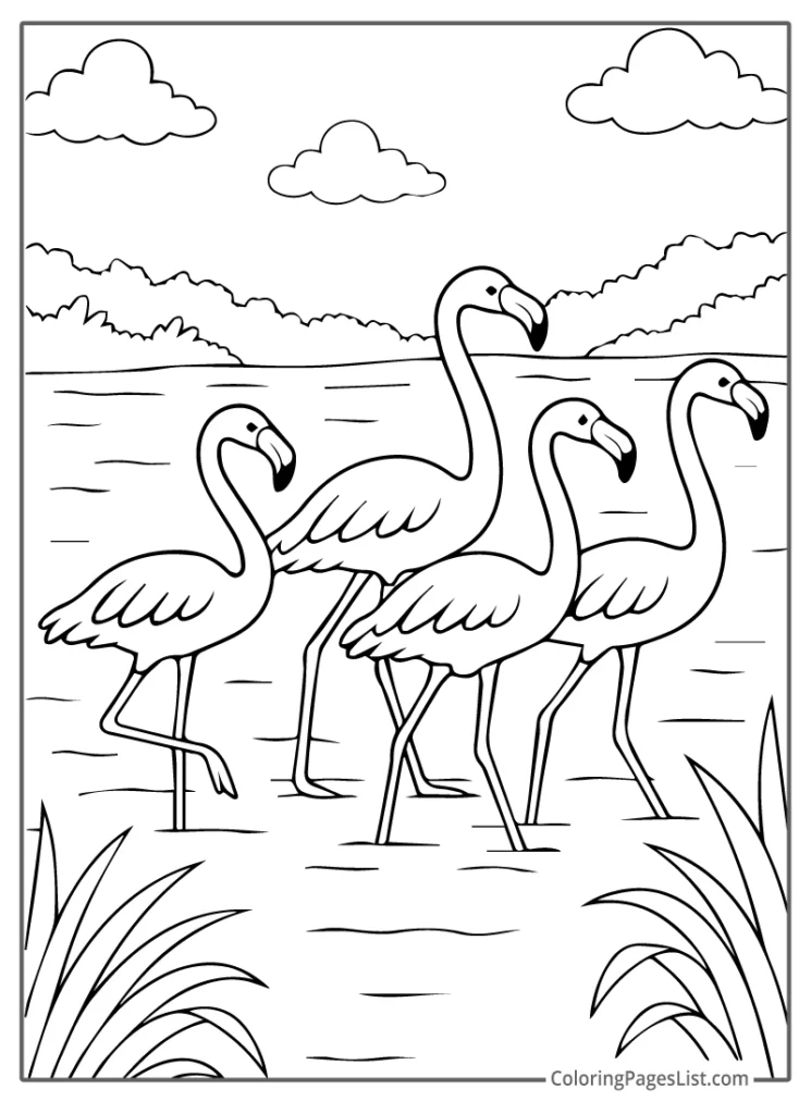 Four Flamingos Walking in a Lake with Bushes and Clouds