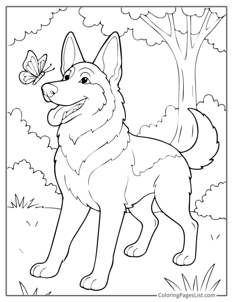 German Shepherd Watching a Butterfly in the Woods For Coloring