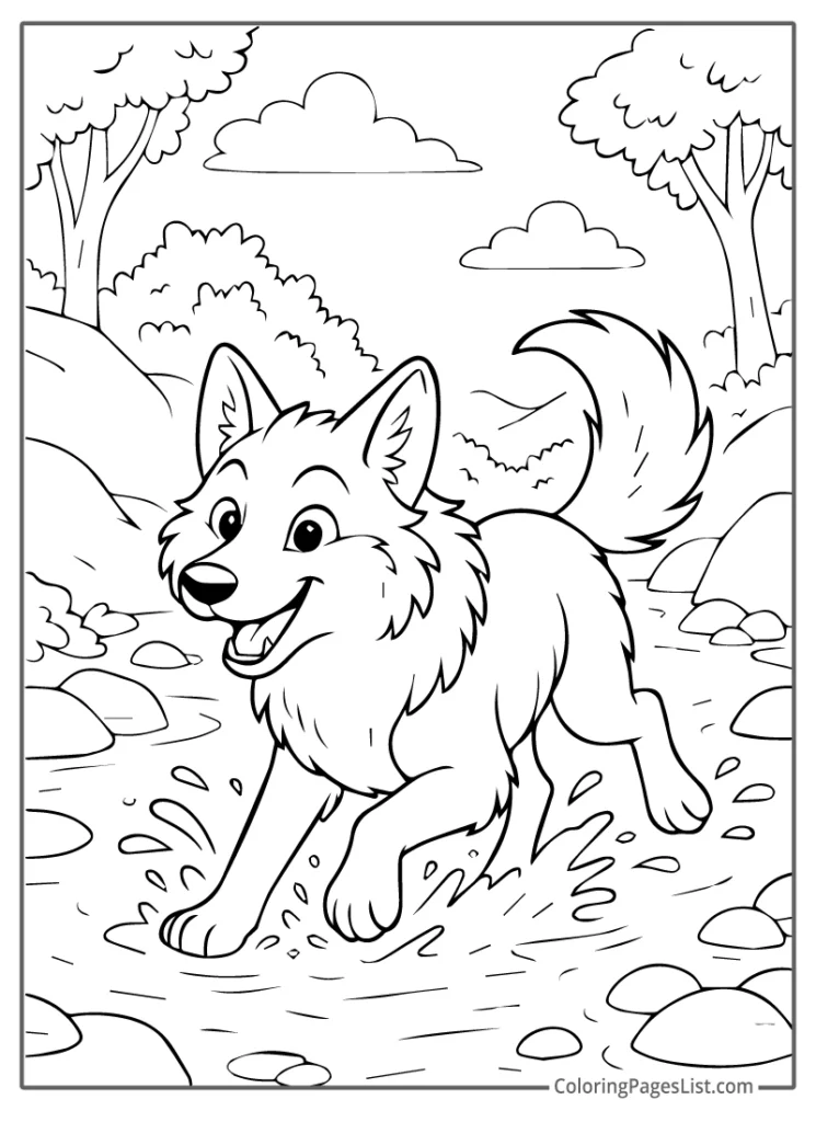 Playful Wolf Running Through a Stream in the Forest For Coloring